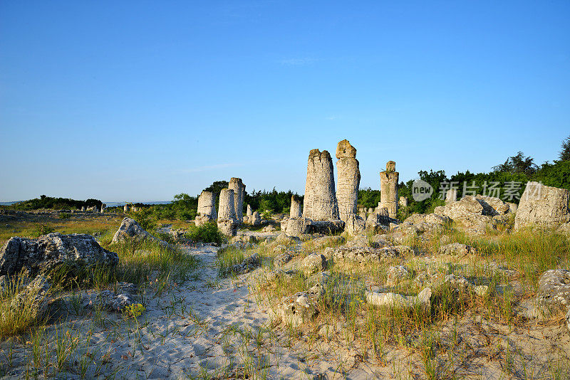 岩石现象Pobiti Kamani(石林)